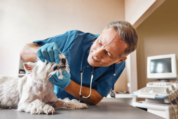 Best Pediatric Emergency Dentist in Elkton, KY